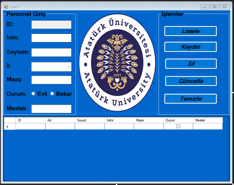 Database Operations uygulama ekranı